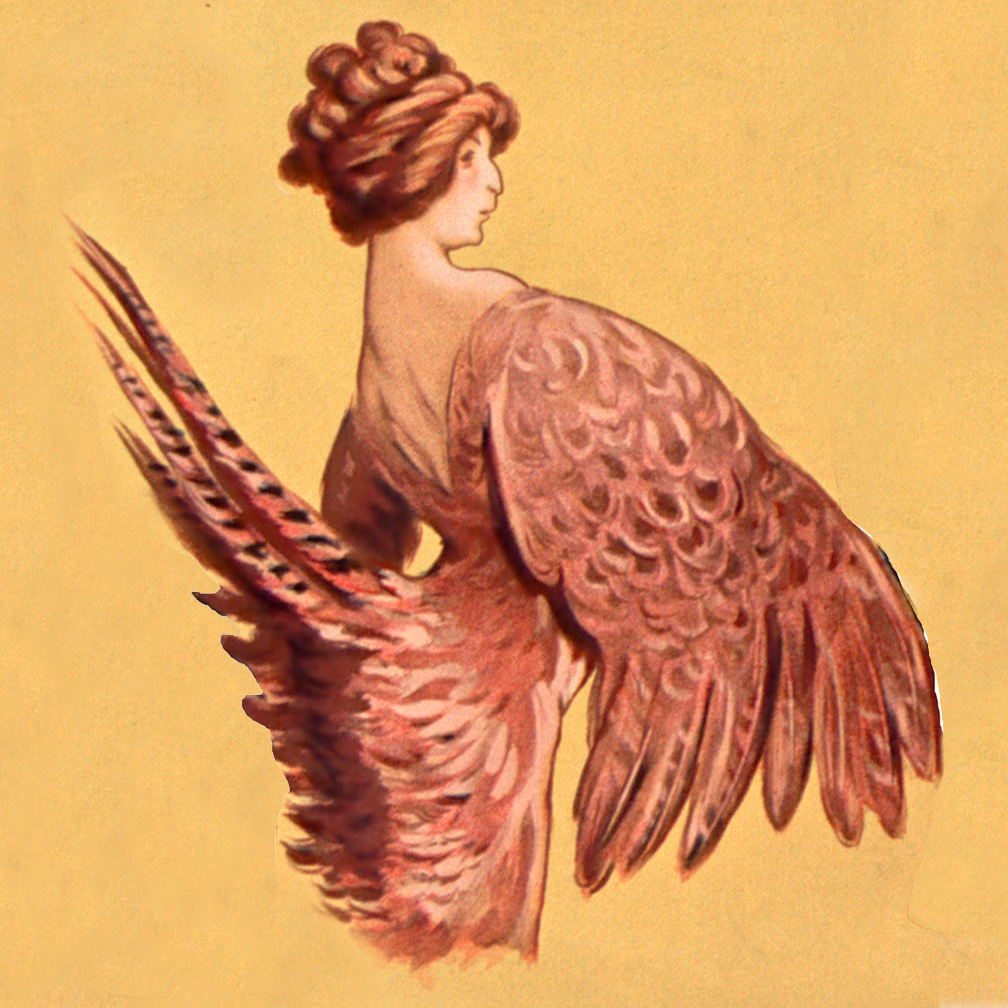Poularde – Les Callaïdes